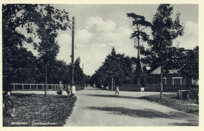 8393 Gezicht in de Overboslaan te Bilthoven uit het zuiden.